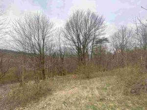 Prodej pozemku, Mírová pod Kozákovem - Vesec, 2000 m2