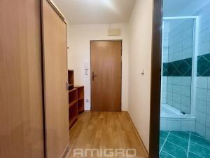 Pronájem bytu 2+kk, Brno, Poděbradova, 46 m2