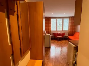 Pronájem bytu 1+1, Karlovy Vary, Maďarská, 36 m2