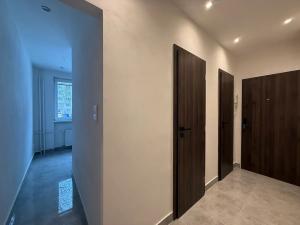 Pronájem bytu 2+1, Habartov, Raisova, 60 m2