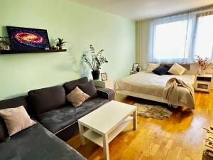 Prodej bytu 1+1, Hradec Králové, Milady Horákové, 47 m2