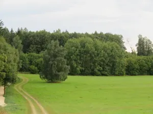 Dražba pole, Počátky, 11945 m2