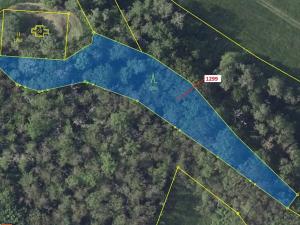 Dražba lesa, Stebno, 2275 m2