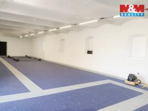 Pronájem garáže, Hořesedly, 230 m2