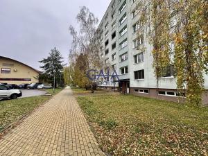 Prodej bytu 3+1, Hodonín, Luční, 68 m2