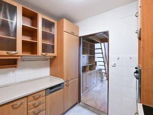 Pronájem bytu 3+kk, Praha - Žižkov, Lupáčova, 57 m2
