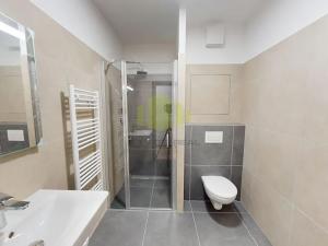 Pronájem bytu 1+kk, Olomouc, Janského, 36 m2