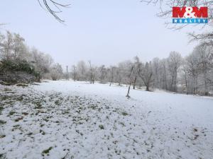 Prodej zahrady, Bernartice, 8163 m2