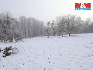 Prodej zahrady, Bernartice, 8163 m2