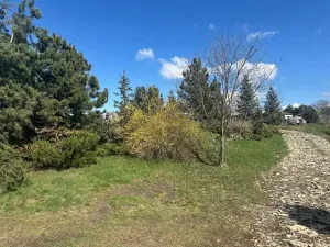 Prodej pozemku pro bydlení, Libědice, 1786 m2