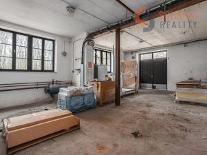 Prodej obchodního prostoru, Břeclav, Celnice-středisko služeb, 529 m2