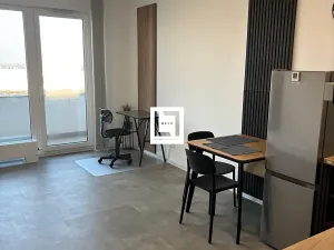 Pronájem bytu 1+kk, Olomouc, Aloise Rašína, 31 m2