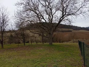 Dražba rodinného domu, Heroltice, 248 m2