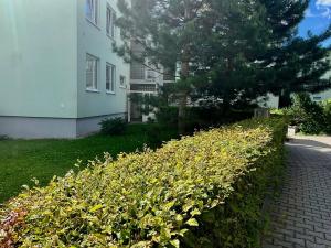 Pronájem bytu 2+kk, Brno, Opálkova, 42 m2