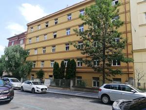 Pronájem bytu 1+kk, Praha - Bubeneč, U zeměpisného ústavu, 26 m2