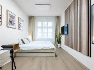 Prodej bytu 1+kk, Praha - Vyšehrad, Neklanova, 23 m2