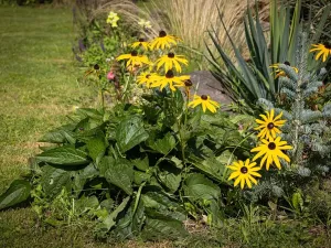 Prodej rodinného domu, Bžany, 240 m2