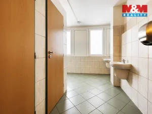 Pronájem kanceláře, Plzeň, alej Svobody, 22 m2