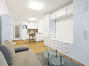 Pronájem bytu 1+kk, Praha - Smíchov, Holečkova, 34 m2