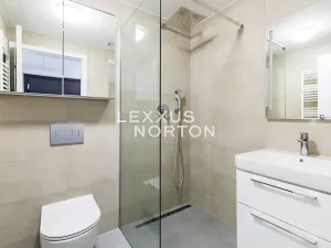 Pronájem bytu 1+kk, Praha - Smíchov, Holečkova, 34 m2