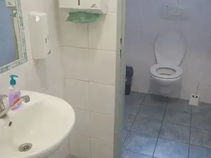 Prodej komerční nemovitosti, Volyně, 450 m2