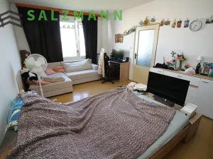 Pronájem bytu 1+1, Plzeň, Žlutická, 39 m2