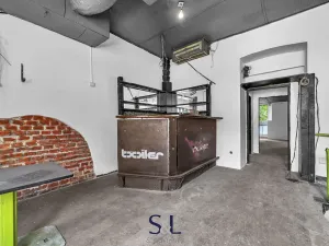 Prodej obchodního prostoru, Praha - Vysočany, Novovysočanská, 222 m2