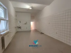 Pronájem obchodního prostoru, Teplice, Masarykova třída, 120 m2