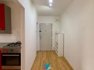 Pronájem bytu 1+1, Teplice, Duchcovská, 37 m2