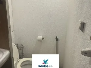 Prodej bytu 1+kk, Teplice, Přítkovská, 31 m2