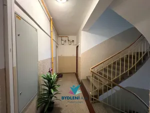 Prodej bytu 1+1, Teplice, 14. října, 41 m2