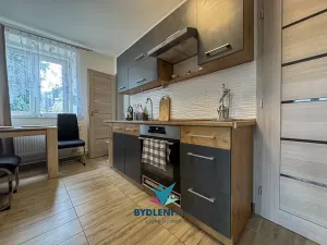 Prodej bytu 1+1, Tisá, 43 m2