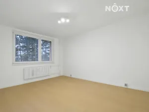 Pronájem bytu 3+1, Břeclav, 76 m2