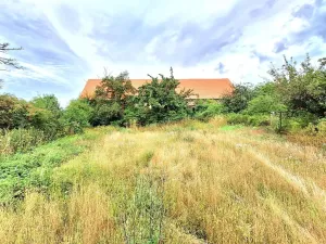 Prodej zemědělské usedlosti, Kolešov, 500 m2