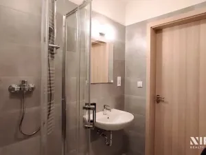 Pronájem bytu 1+kk, Praha - Chodov, Šternovská, 30 m2