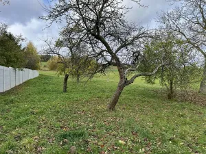 Prodej rodinného domu, Hvozd, 90 m2