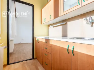 Prodej bytu 1+1, Hrob, Rybniční, 27 m2