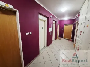 Prodej bytu 1+kk, Praha - Strašnice, Vinohradská, 40 m2