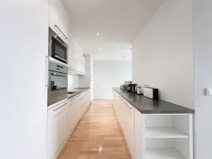 Pronájem bytu 3+kk, Praha - Vinohrady, Boleslavská, 114 m2
