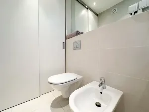 Pronájem bytu 3+kk, Praha - Vinohrady, Boleslavská, 114 m2