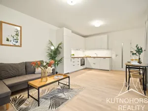 Pronájem bytu 2+kk, Kutná Hora, Za Lidkou, 56 m2