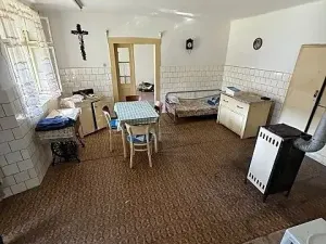 Prodej vícegeneračního domu, Opočnice, 604 m2