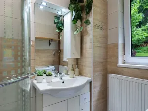 Prodej rodinného domu, Loučovice, 361 m2