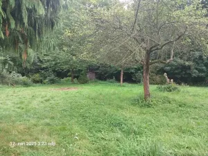 Prodej zahrady, Chlístovice, 1161 m2