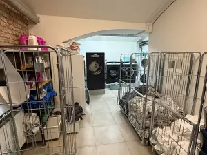 Prodej obchodního prostoru, Praha - Smíchov, Kotevní, 68 m2