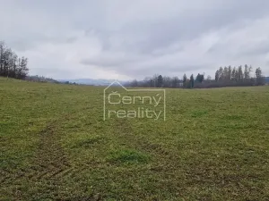 Prodej pozemku pro bydlení, Černý Důl, 1882 m2