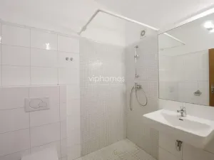 Pronájem bytu 6+kk a větší, Praha - Braník, Psohlavců, 290 m2