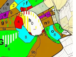 Dražba lesa, Nové Dvory, 32925 m2