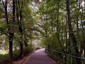 Pronájem bytu 2+kk, Praha - Vršovice, Petrohradská, 58 m2