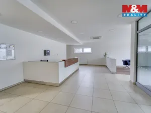 Prodej bytu 2+kk, Plzeň, Stehlíkova, 66 m2